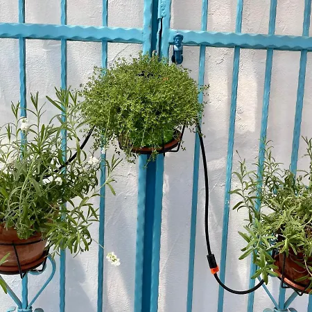 Apartamento La Casetta Turchese