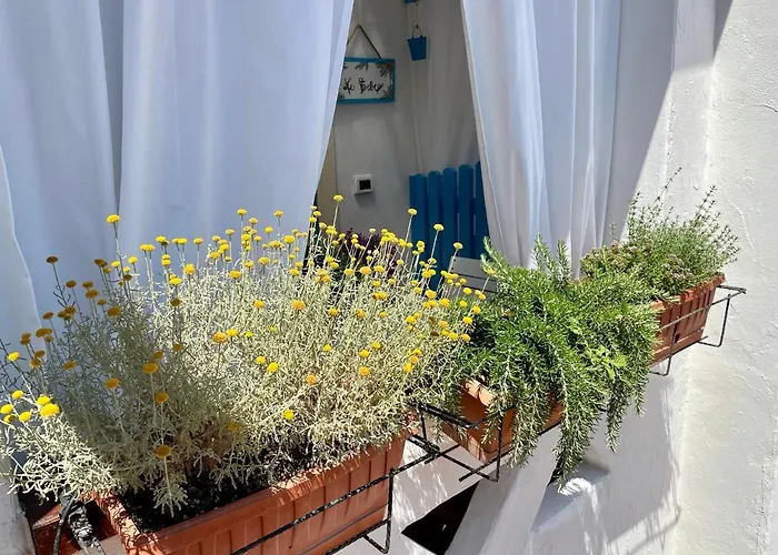 Apartman La Casetta Turchese