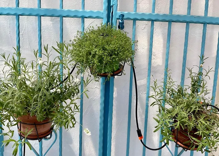 Apartman La Casetta Turchese